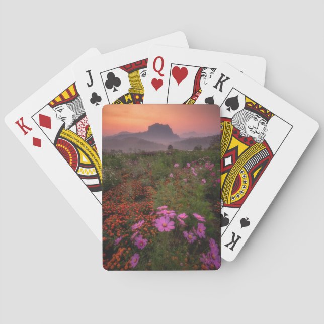 Jeu De Cartes Fleurs | Chiang Dao, Chiang Mai, Thaïlande (dos)
