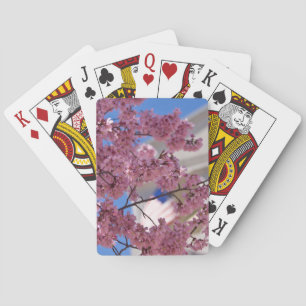 Jeu De Cartes Fleurs de cerisier Sakura Americana