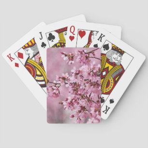 Jeu De Cartes Fleurs de Cerisier Sakura Pastel Rose Calquees