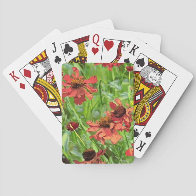 JEU DE CARTES FLEURS DE RUDBECKIA ROUGES (dos)