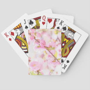 Jeu De Cartes Fleurs de sakura roses - Fleur de cerisier japonai
