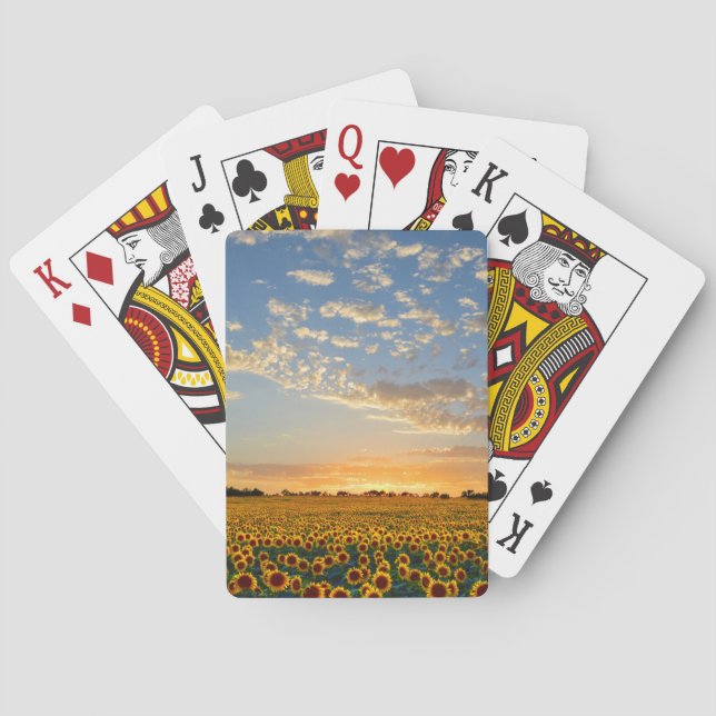 Jeu De Cartes Fleurs de soleil au coucher du soleil (dos)