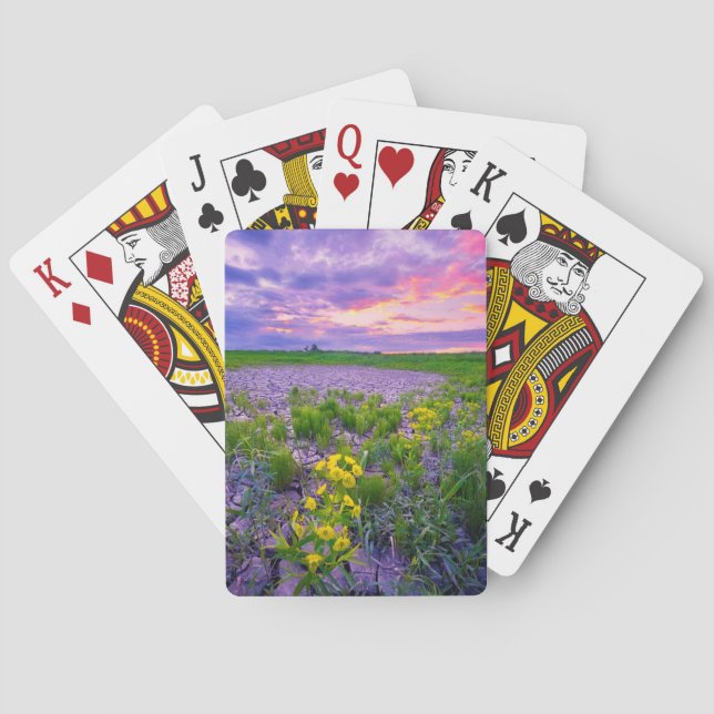 Jeu De Cartes Fleurs | North Dakota Red River Valley (dos)