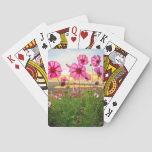 Jeu De Cartes Fleurs  Province de Chiang Rai, Thaïlande