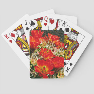 Jeu De Cartes Fleurs sauvages de Cactus Claret Cup