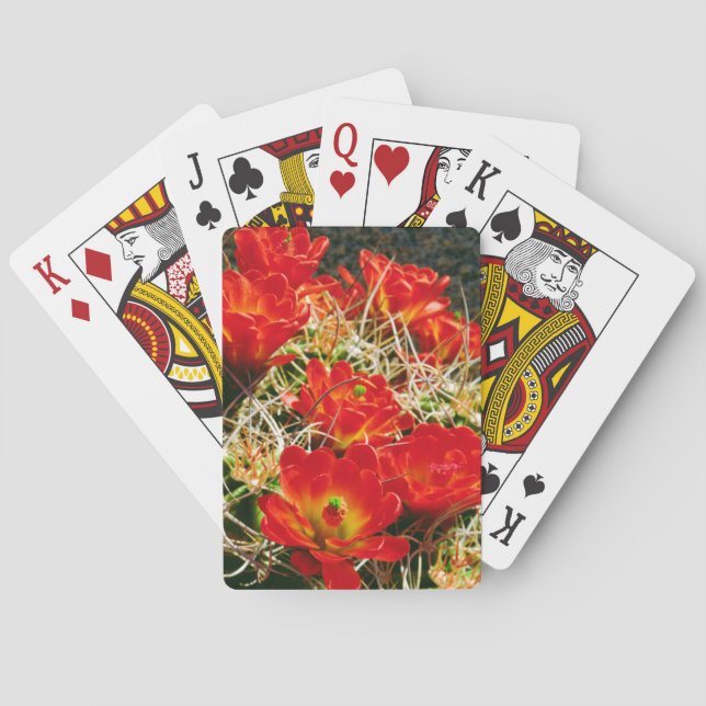 Jeu De Cartes Fleurs sauvages de Cactus Claret Cup (dos)