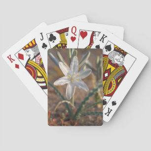 Jeu De Cartes Fleurs sauvages du désert Lily