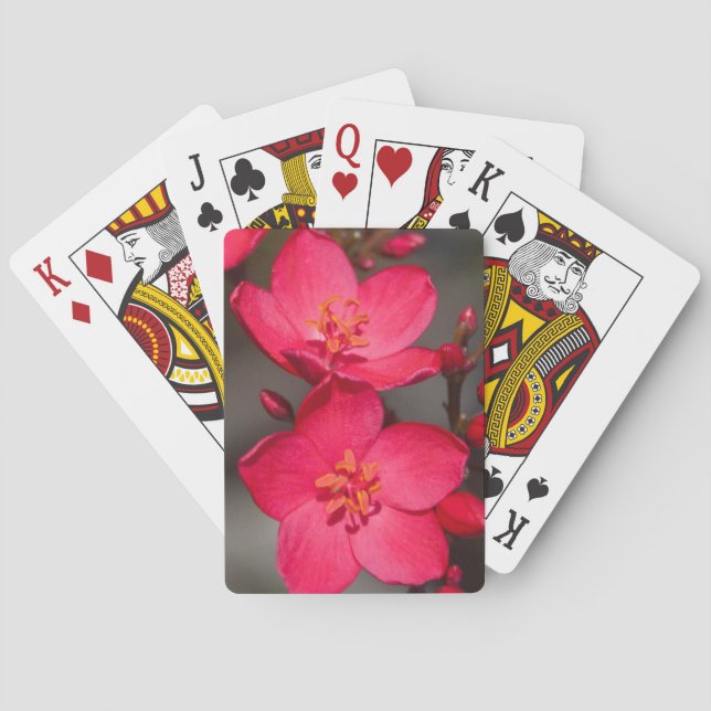 Jeu De Cartes Fleurs tropicales rouges et roses de Fidji (dos)