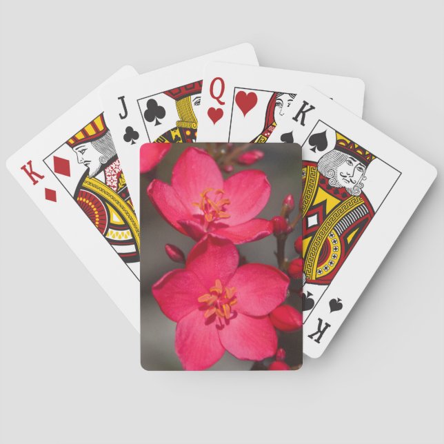 Jeu De Cartes Fleurs tropicales rouges et roses de Fidji (dos)
