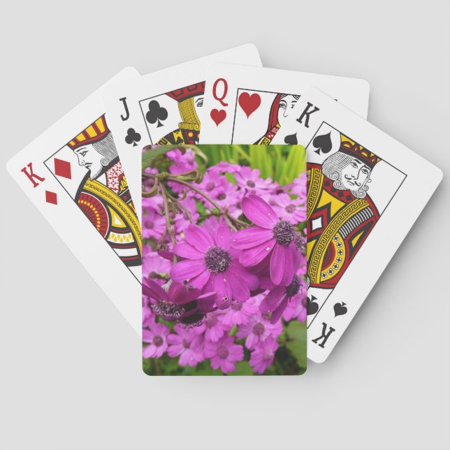 Jeu De Cartes Fleurs violettes de San Francisco (dos)