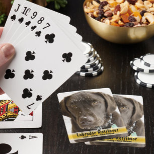 Jeu De Cartes Flocon de neige Saupoudrer Chien Chocolat Photo re