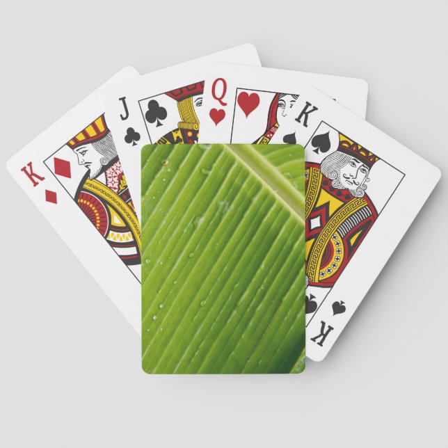 Jeu De Cartes Flora Dominica 1 (dos)