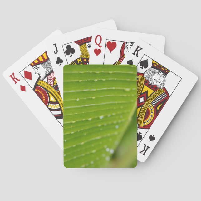 Jeu De Cartes Flora Dominica 2 (dos)