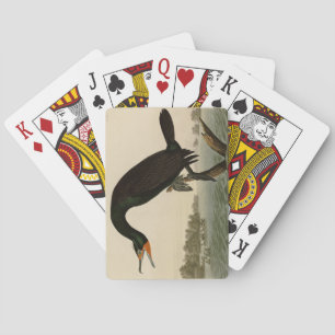 Jeu De Cartes Florida Cormorant de Audubon's Birds of America