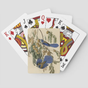 Jeu De Cartes Florida Jay (Scrub-Jay) Audubon's Birds of America