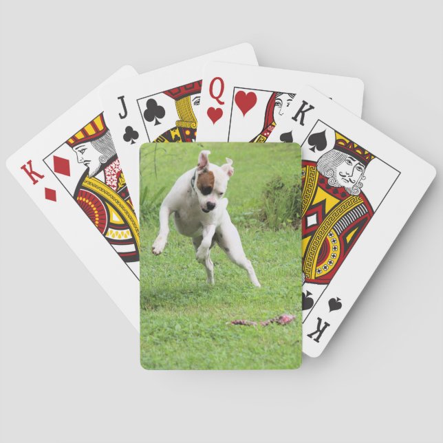 Jeu De Cartes Flottant (dos)
