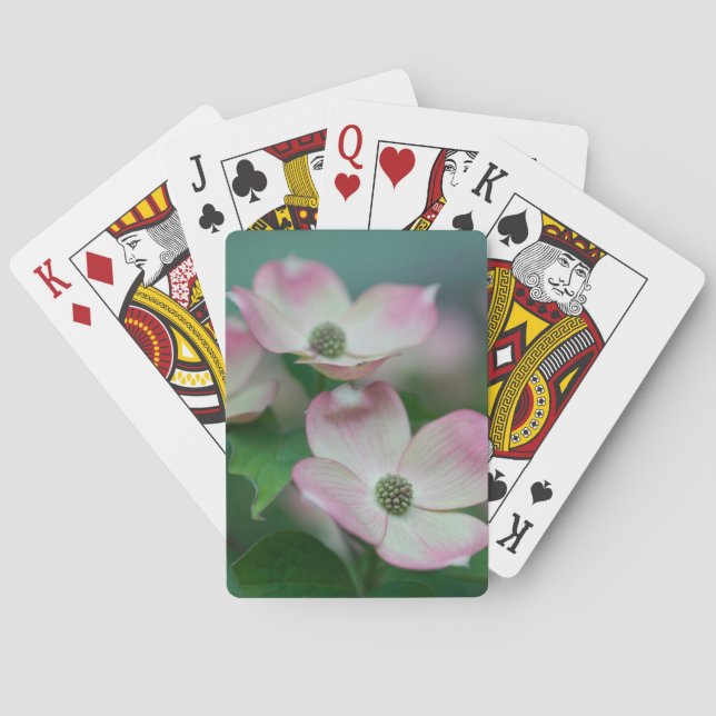 Jeu De Cartes Flowers | Dogwood Blossoms (dos)