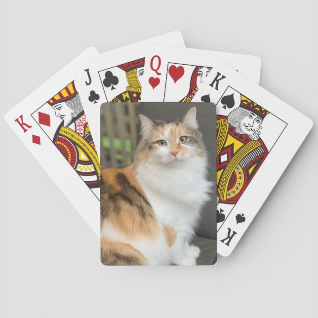 Jeu De Cartes Fluffy Calico Kitty Chat (dos)