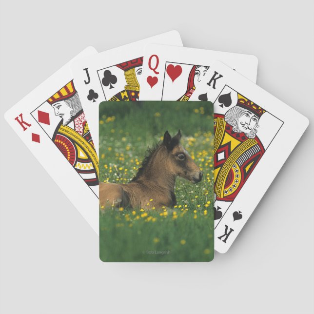 Jeu De Cartes Foal Laying Down in Flowers (dos)
