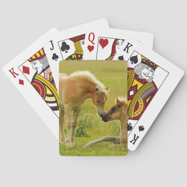 Jeu De Cartes Foals de Horse (dos)