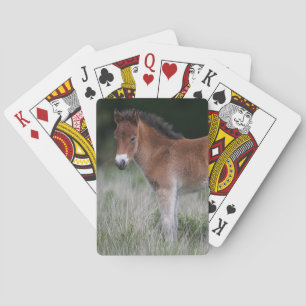 Jeu De Cartes Foie debout