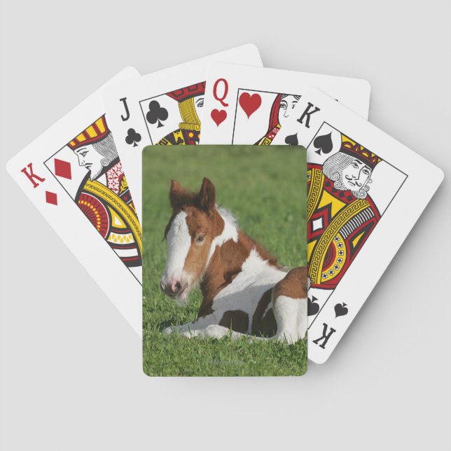 Jeu De Cartes Foie pondu dans l'herbe (dos)