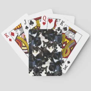 Jeu De Cartes Folie de chat de smoking