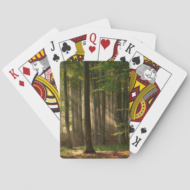 Jeu De Cartes Forests | Autumn Forest (dos)
