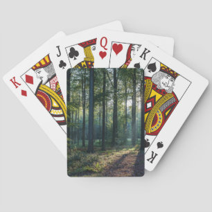 Jeu De Cartes Forests   Black Forest Germany