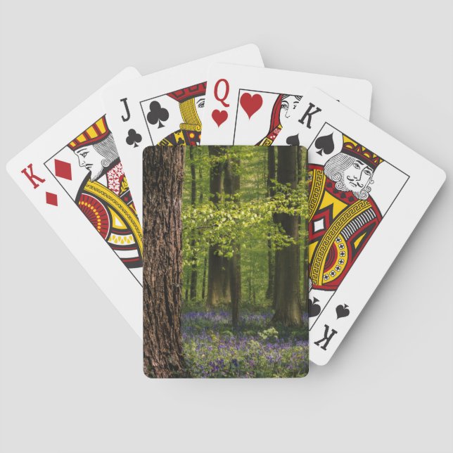 Jeu De Cartes Forests | Bluebells in Belgium (dos)