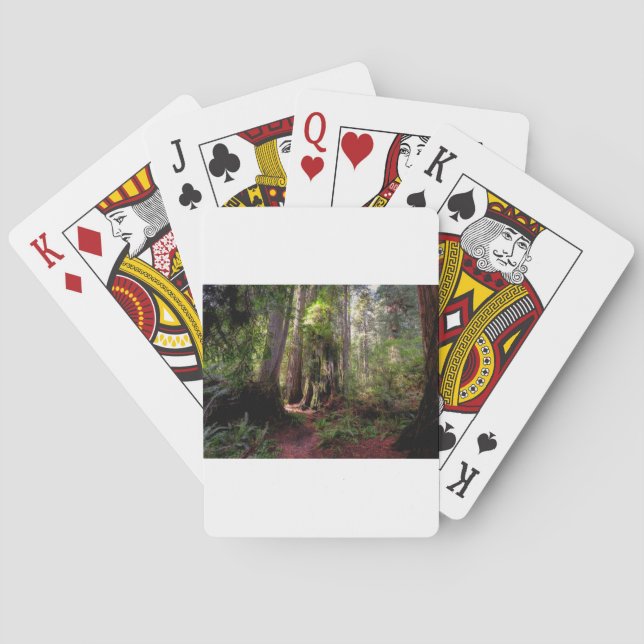 Jeu De Cartes Forests | Redwood Forest California (dos)