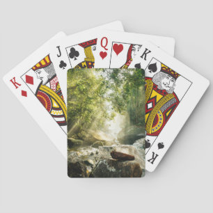 Jeu De Cartes Forests Tropical Jungle Forest