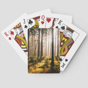 Jeu De Cartes Forêt de chute avec des Sunrays