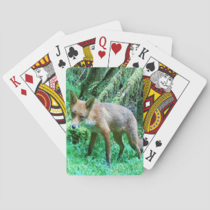 Jeu De Cartes Forêt de renardeau de boisland Mousses Vert Nature
