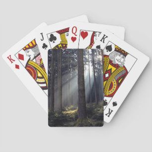Jeu De Cartes Forêt en Bavière