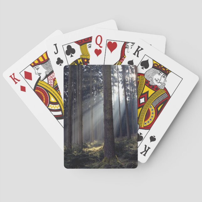 Jeu De Cartes Forêt en Bavière (dos)