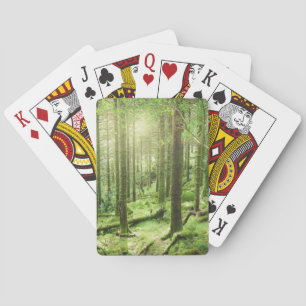 Jeu De Cartes Forêt en parc national Kerry, Irlande de