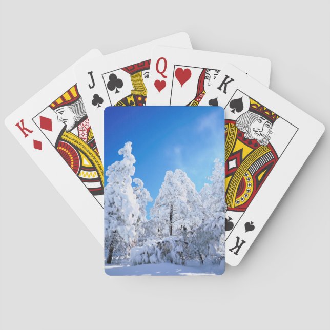 Jeu De Cartes Forêt nationale de Cleveland (dos)