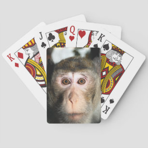 Jeu De Cartes Forêt pluviale en voie de disparition