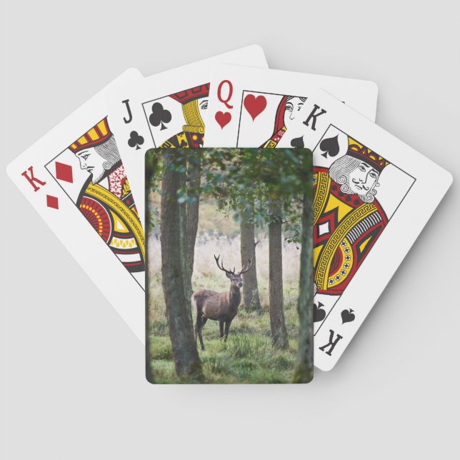 Jeu De Cartes Forêt | Woodlands & Red Deer (dos)