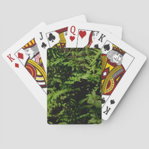 Jeu De Cartes Fougères de la forêt