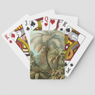 Jeu De Cartes Fougères Palmier Antique Botanique Fougères Art