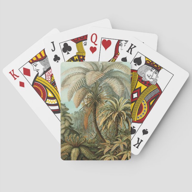 Jeu De Cartes Fougères Palmier Antique Botanique Fougères Art (dos)