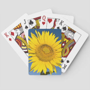 Jeu De Cartes France, Provence, Valensole. Les tournesols se dre