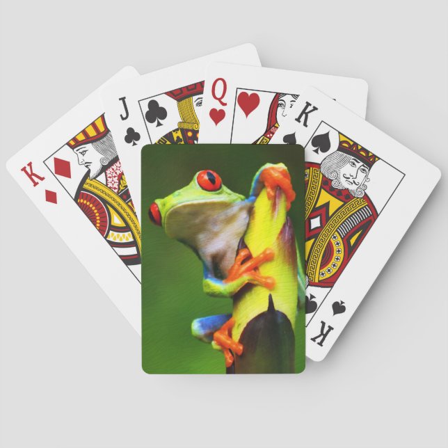 Jeu De Cartes Frog 2 (dos)
