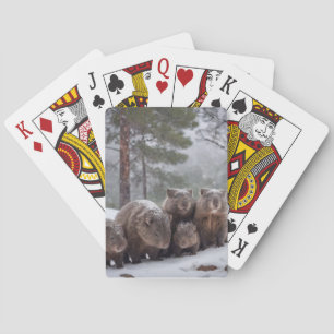 Jeu De Cartes Frozen Burrow : famille australienne Wombat