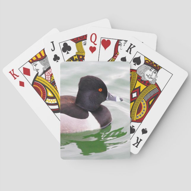 Jeu De Cartes Fuligule à collier (dos)