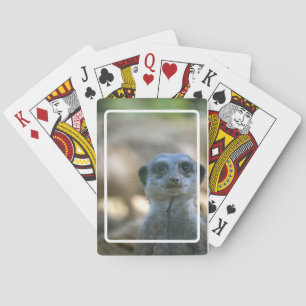 Jeu De Cartes Funny Meerkat