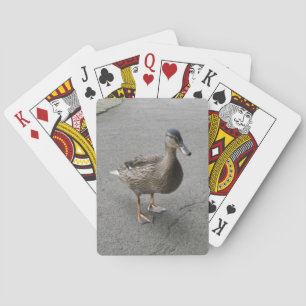 Jeu De Cartes Funny Waddling
