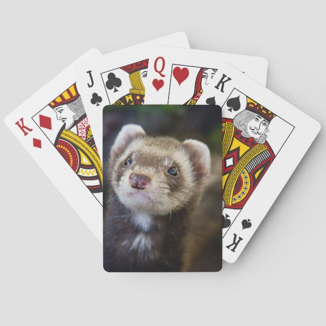 Jeu De Cartes Furet (dos)